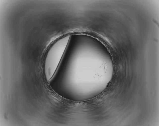 X0000096161160200801180845