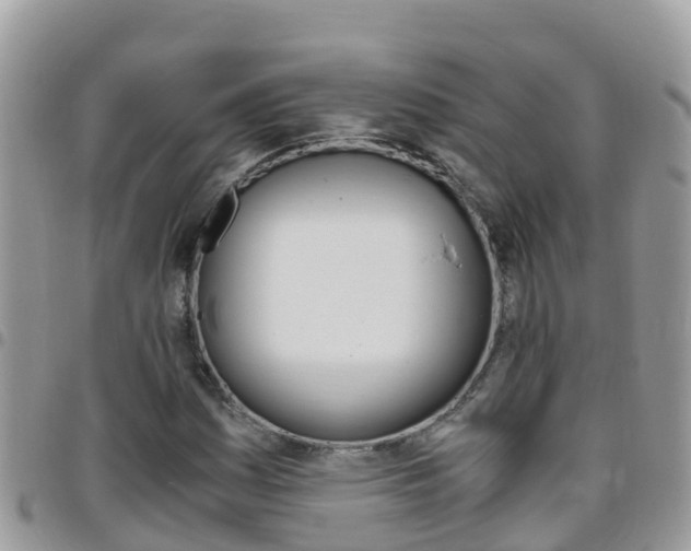 X0000096161161200801180845