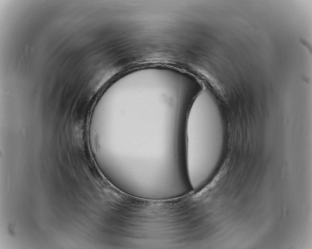 X0000096161162200801180845