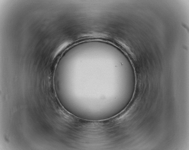 X0000096161163200801180845