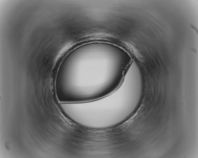 X0000096161164200801180845