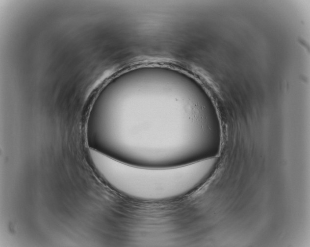 X0000096161165200801180845