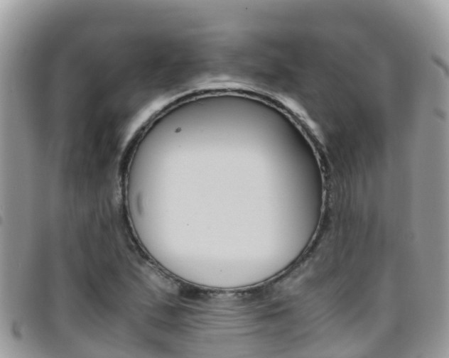 X0000096161167200801180845