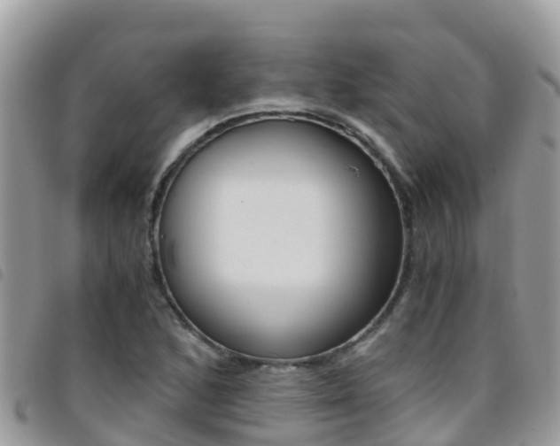 X0000096161168200801180845