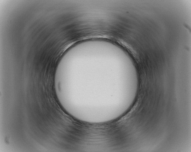 X0000096161169200801180845