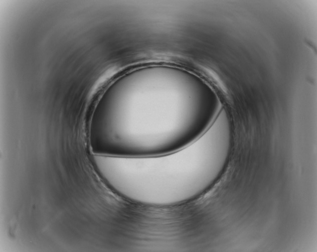 X0000096161172200801180845