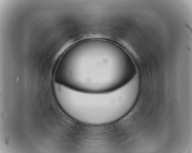 X0000096161173200801180845