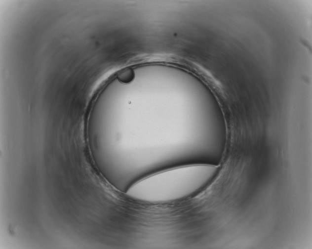X0000096161174200801180845