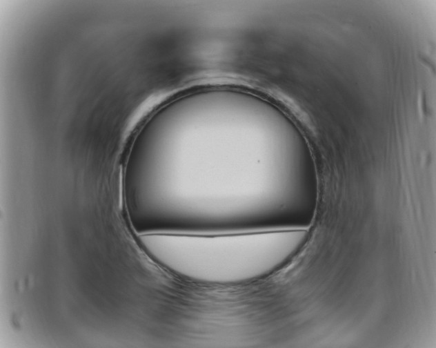X0000096161175200801180845