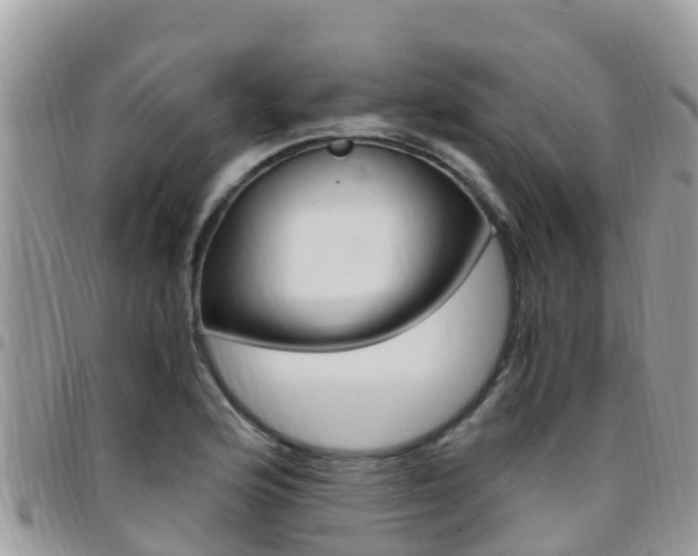 X0000096161176200801180845