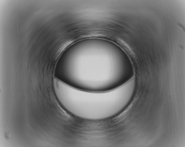 X0000096161177200801180845