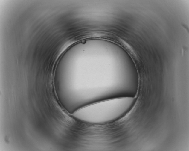 X0000096161178200801180845
