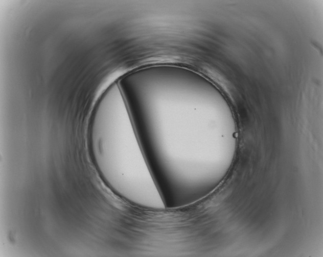 X0000096161179200801180845