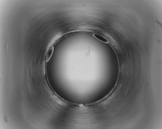 X0000096161180200801180845