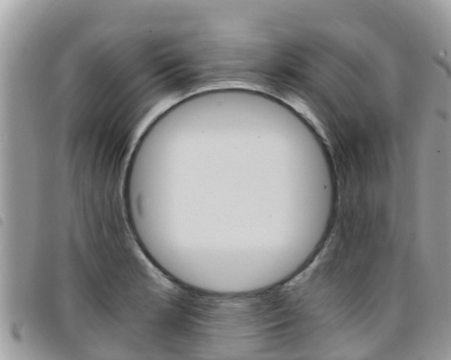 X0000096161181200801180845