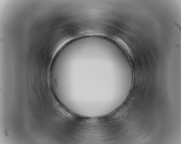 X0000096161182200801180845
