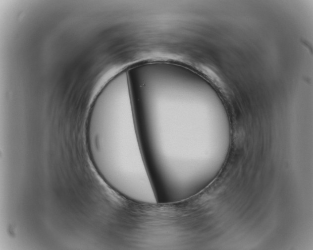 X0000096161183200801180845