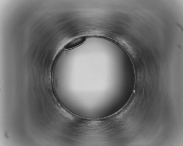 X0000096161184200801180845