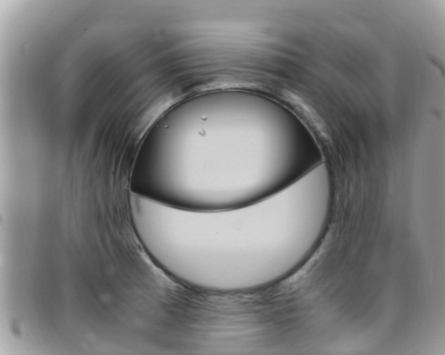 X0000096161185200801180845