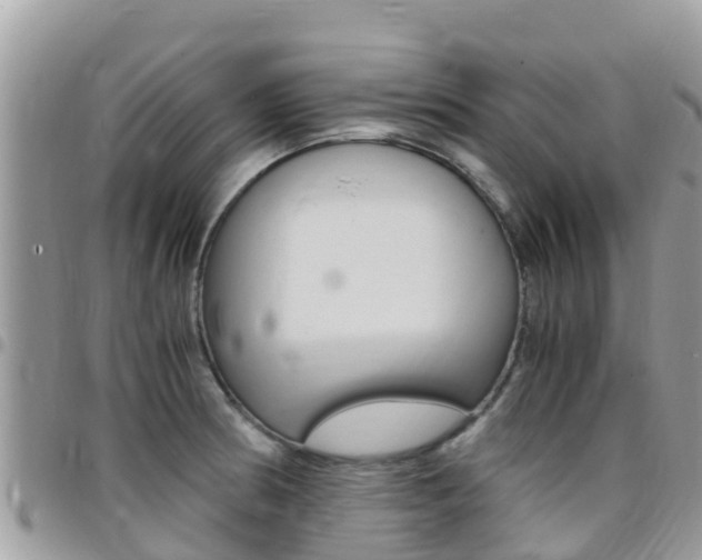 X0000096161186200801180845