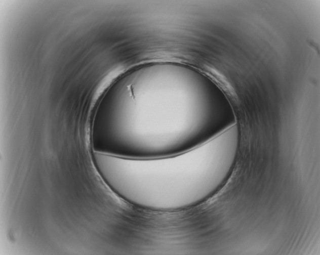 X0000096161188200801180845
