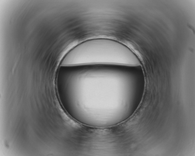 X0000096161189200801180845