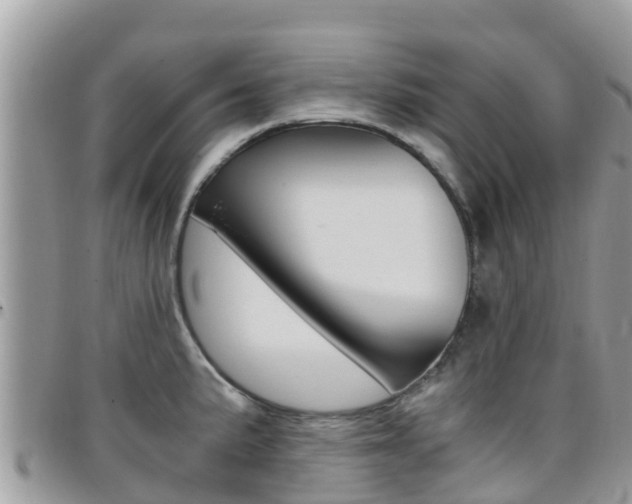 X0000096161191200801180844