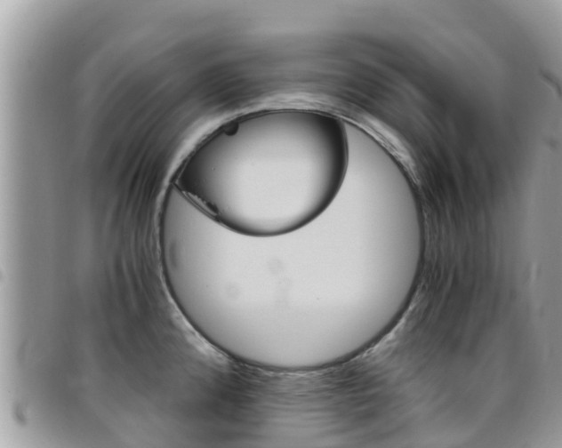 X0000096161192200801180844