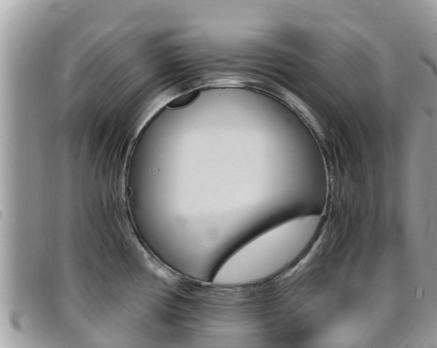 X0000096161194200801180844