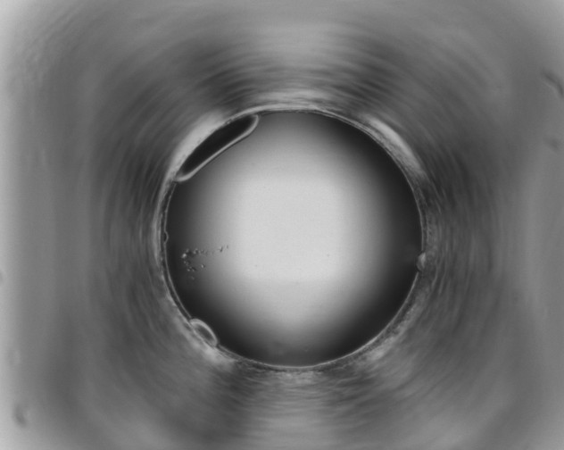 X0000096161196200801180844