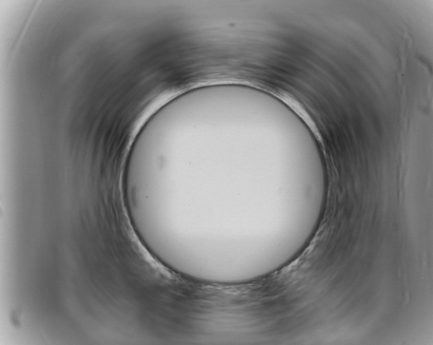 X0000096161197200801180844
