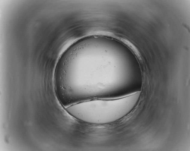 X0000096161199200801180844