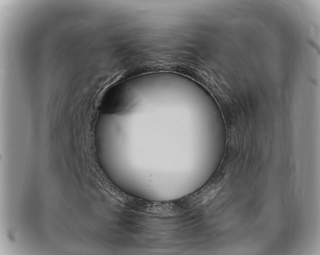 X0000096161201200801180844