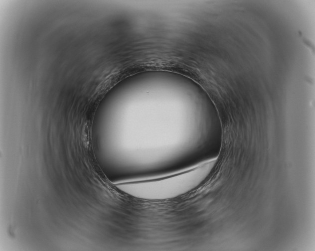 X0000096161202200801180844