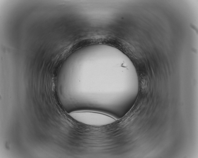 X0000096161204200801180844
