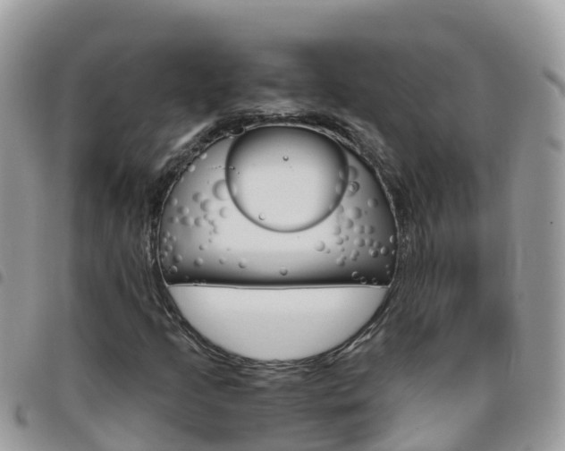 X0000096161205200801180844