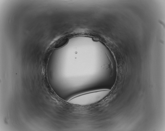 X0000096161206200801180844