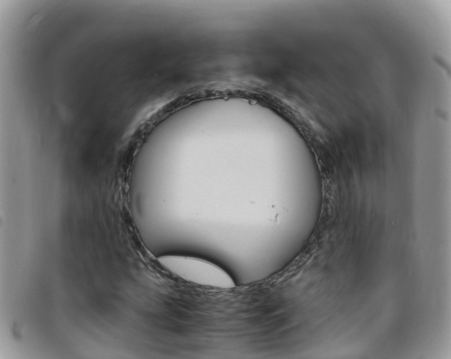 X0000096161207200801180844