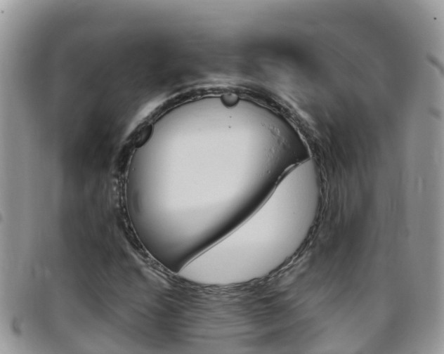X0000096161208200801180844
