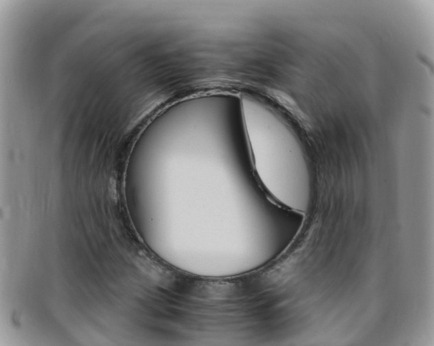 X0000096161209200801180844