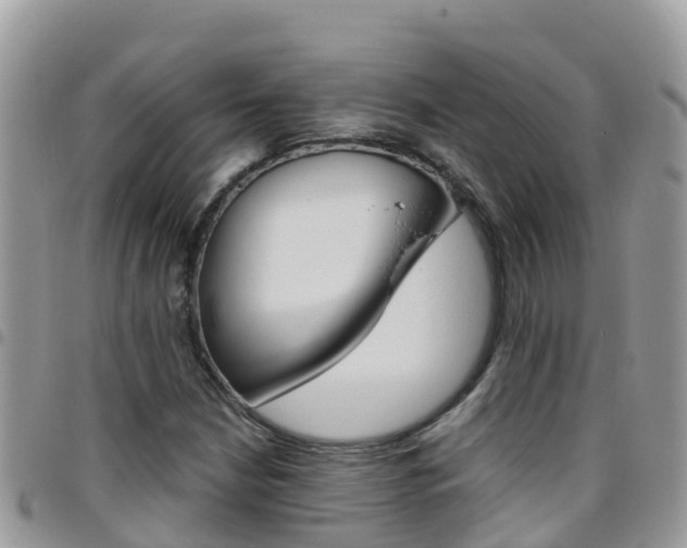 X0000096161210200801180844