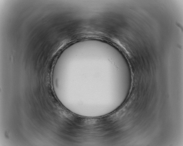 X0000096161211200801180844