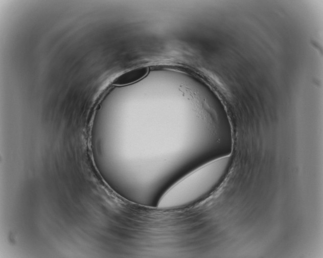 X0000096161212200801180844