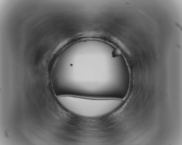 X0000096161213200801180844