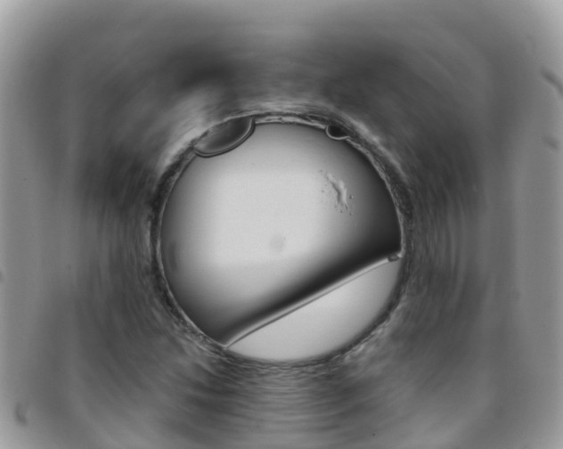 X0000096161214200801180844