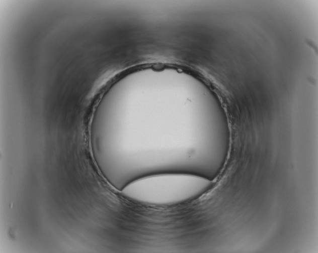 X0000096161215200801180844