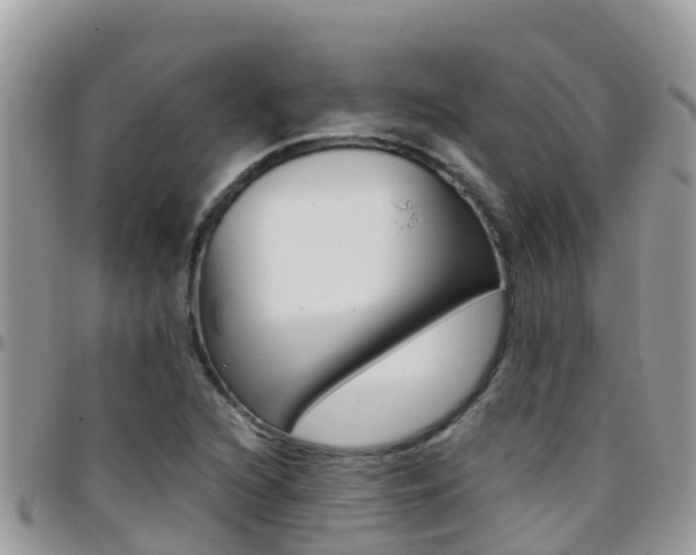 X0000096161216200801180844