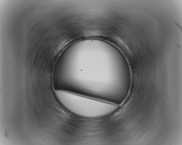 X0000096161217200801180844