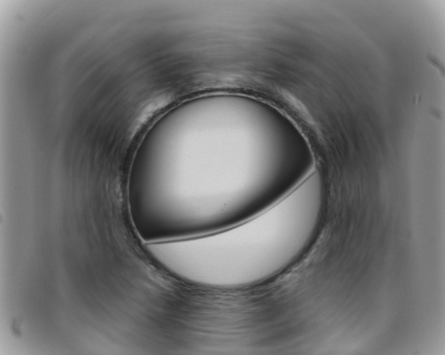 X0000096161218200801180844