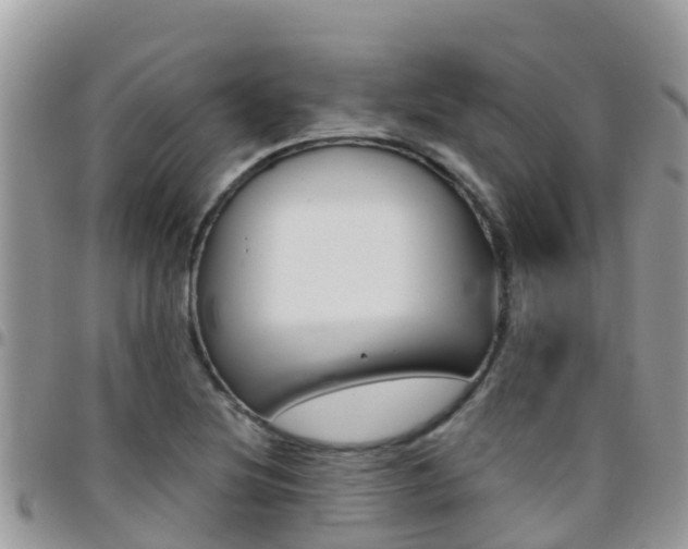 X0000096161220200801180844
